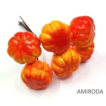 Halloween dekoráció, mini tök , 6db 