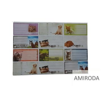 Füzet címke, 12db-os, öntapadós