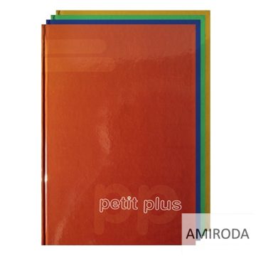 Keményfedeles regiszteres füzet, A/4, 96 lapos 