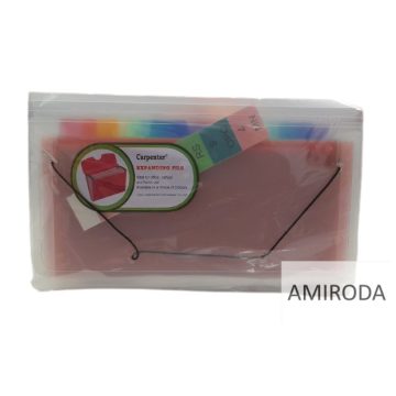 CARPENTER csekktartó, 13 rekeszes, kb. 26cm