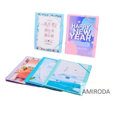 TRANBO 20lapos spirál bemutató mappa, gumis 